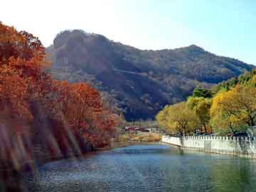 澳门二四六天天彩图库，富康论坛